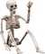 Halloween Decoration Outdoor 2 Pack Skeleton, 16" Plastic Posable Skeleton